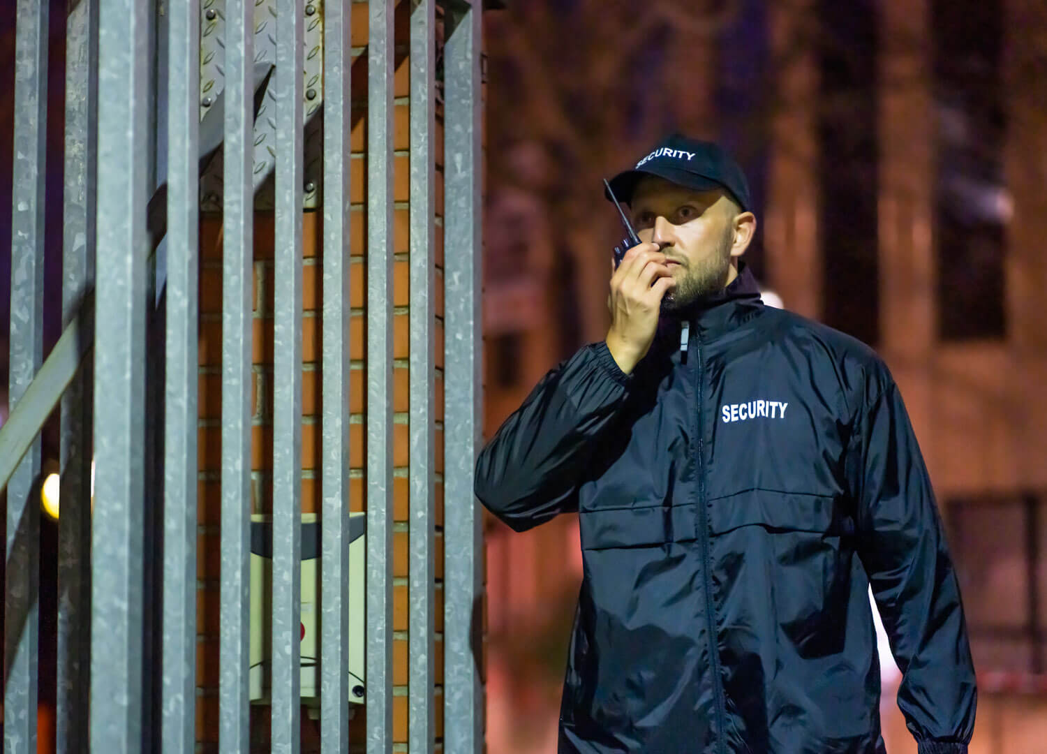 Security-systems-and-services